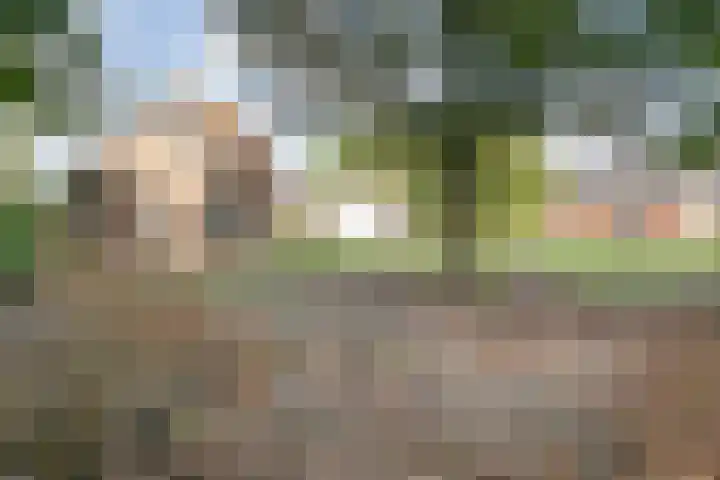 Dorpsstraat 44 Elim thumbnail 7