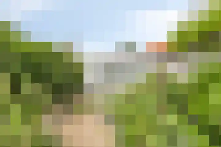 Dorpsstraat 44 Graauw thumbnail 4