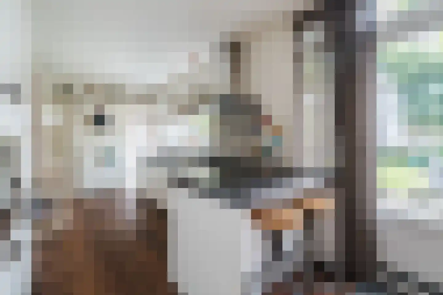 Dorpsstraat 44 Nieuwer Ter Aa thumbnail 12