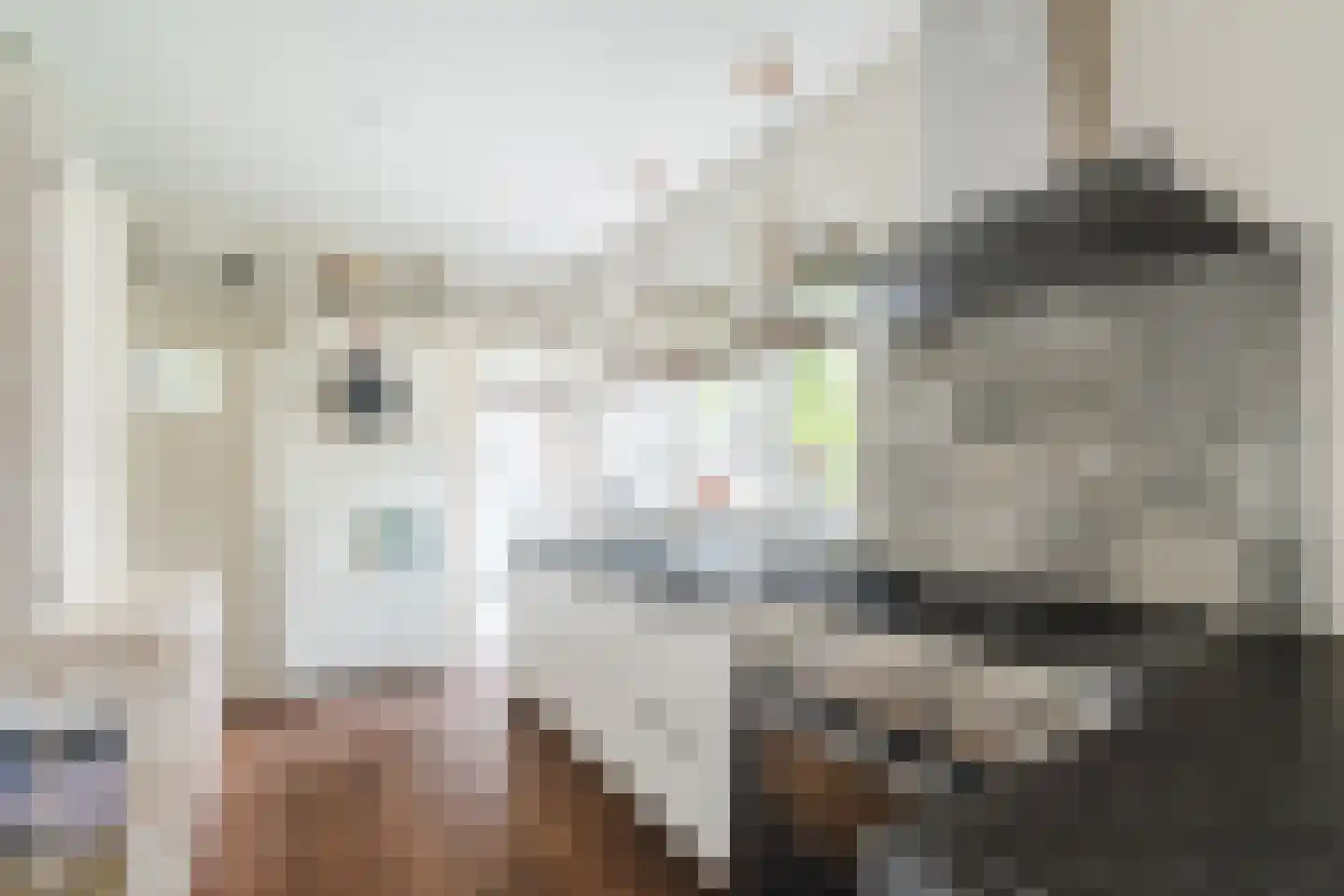 Dorpsstraat 44 Nieuwer Ter Aa thumbnail 13