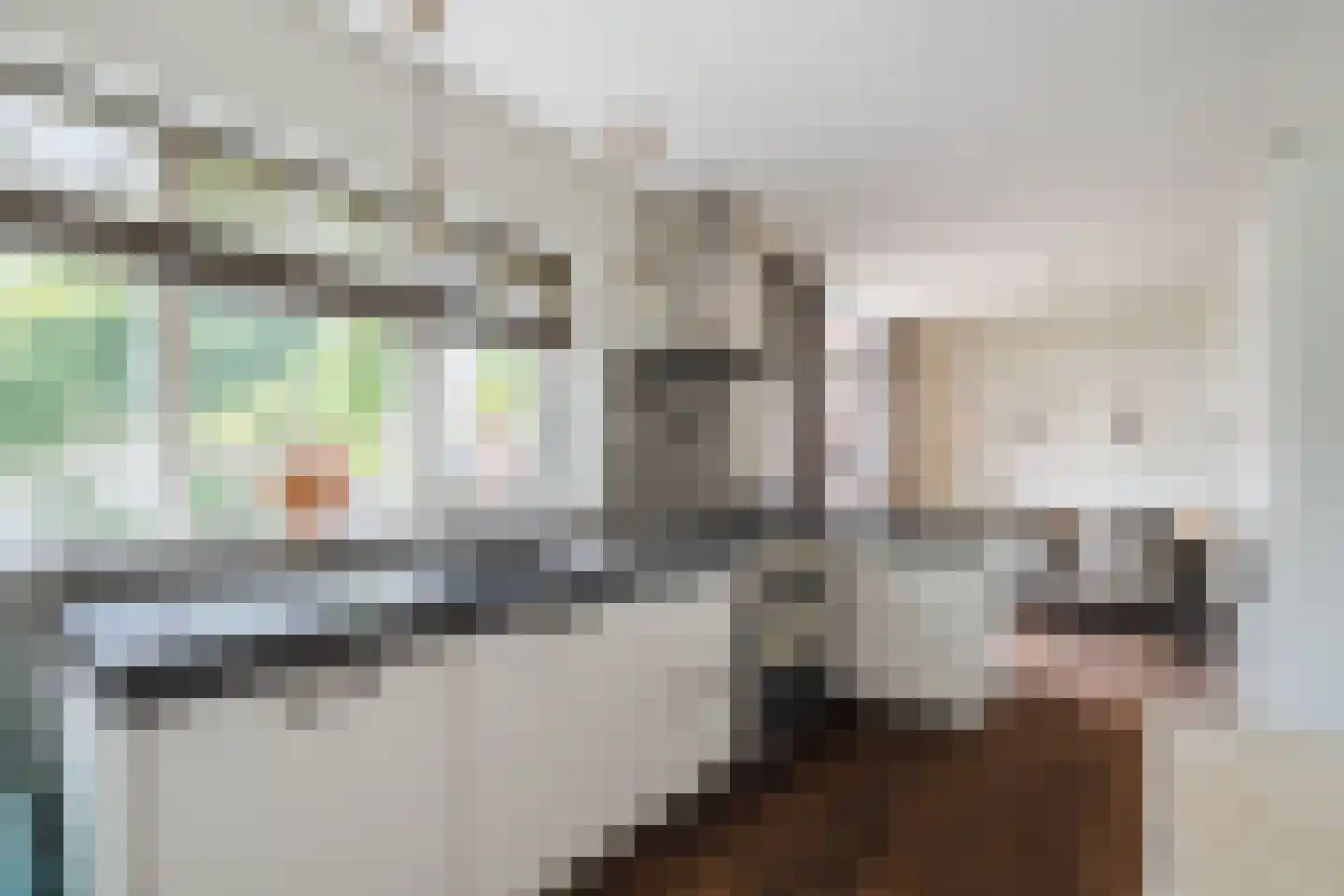 Dorpsstraat 44 Nieuwer Ter Aa thumbnail 14