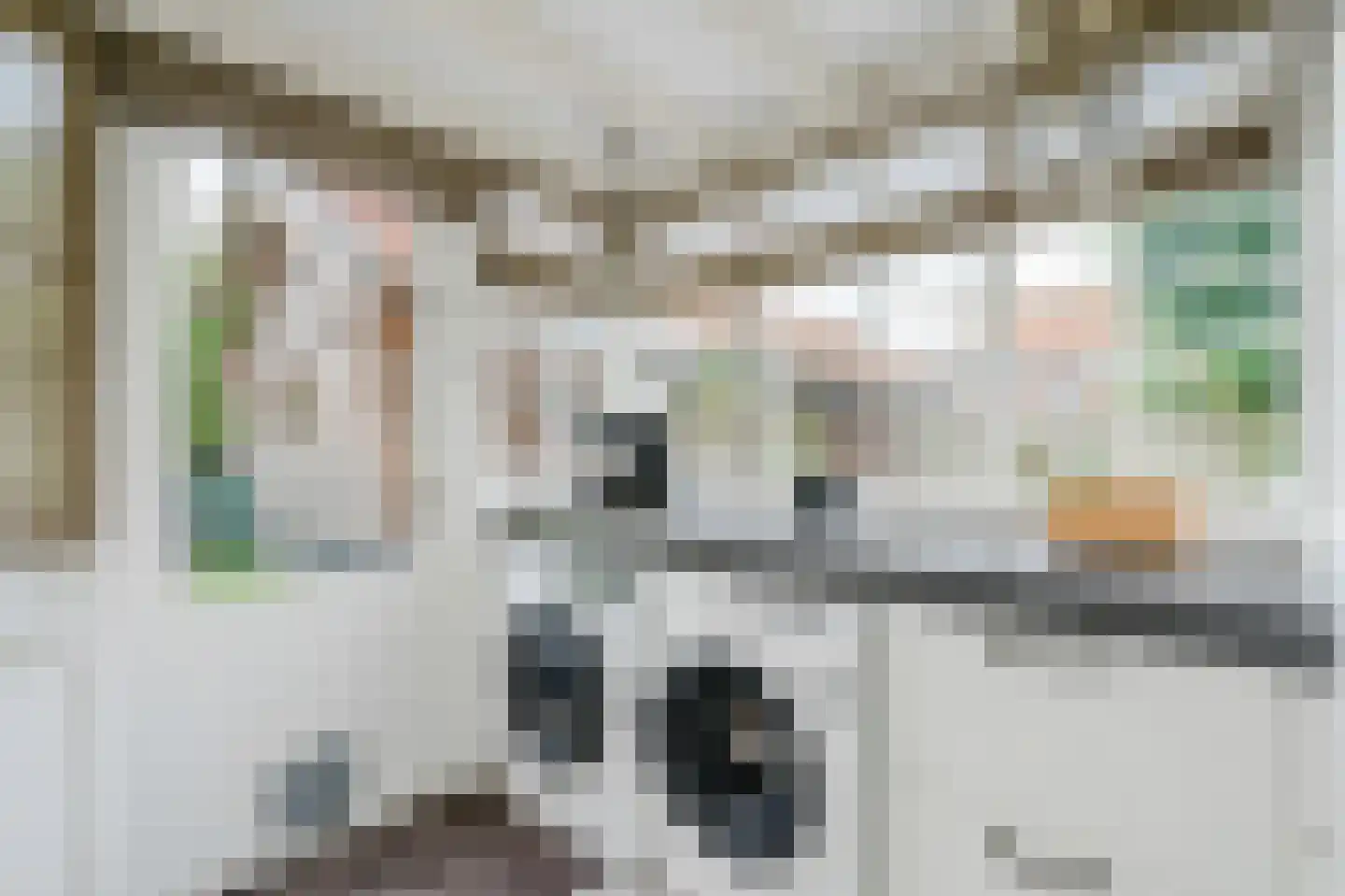 Dorpsstraat 44 Nieuwer Ter Aa thumbnail 15