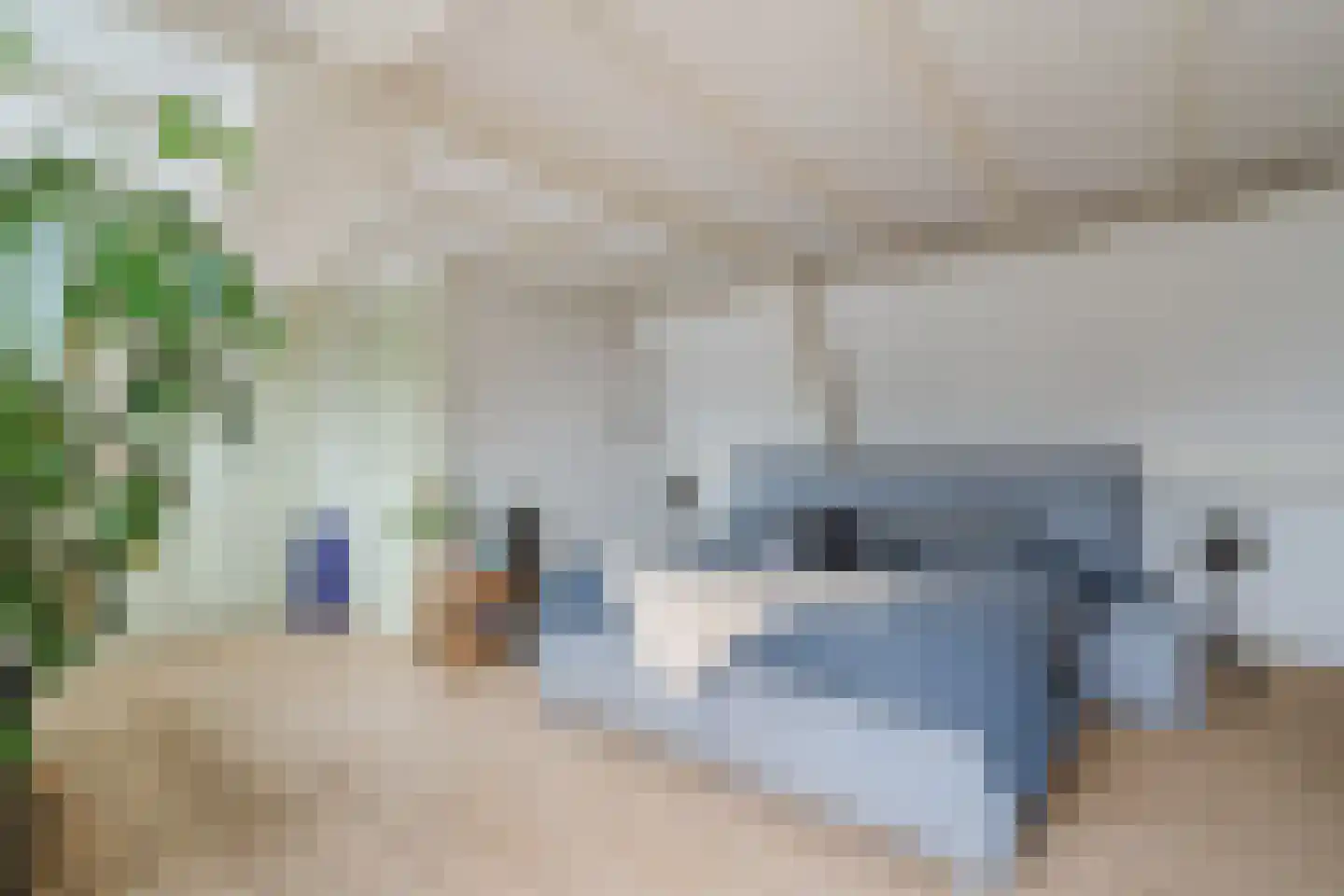 Dorpsstraat 44 Nieuwer Ter Aa thumbnail 18