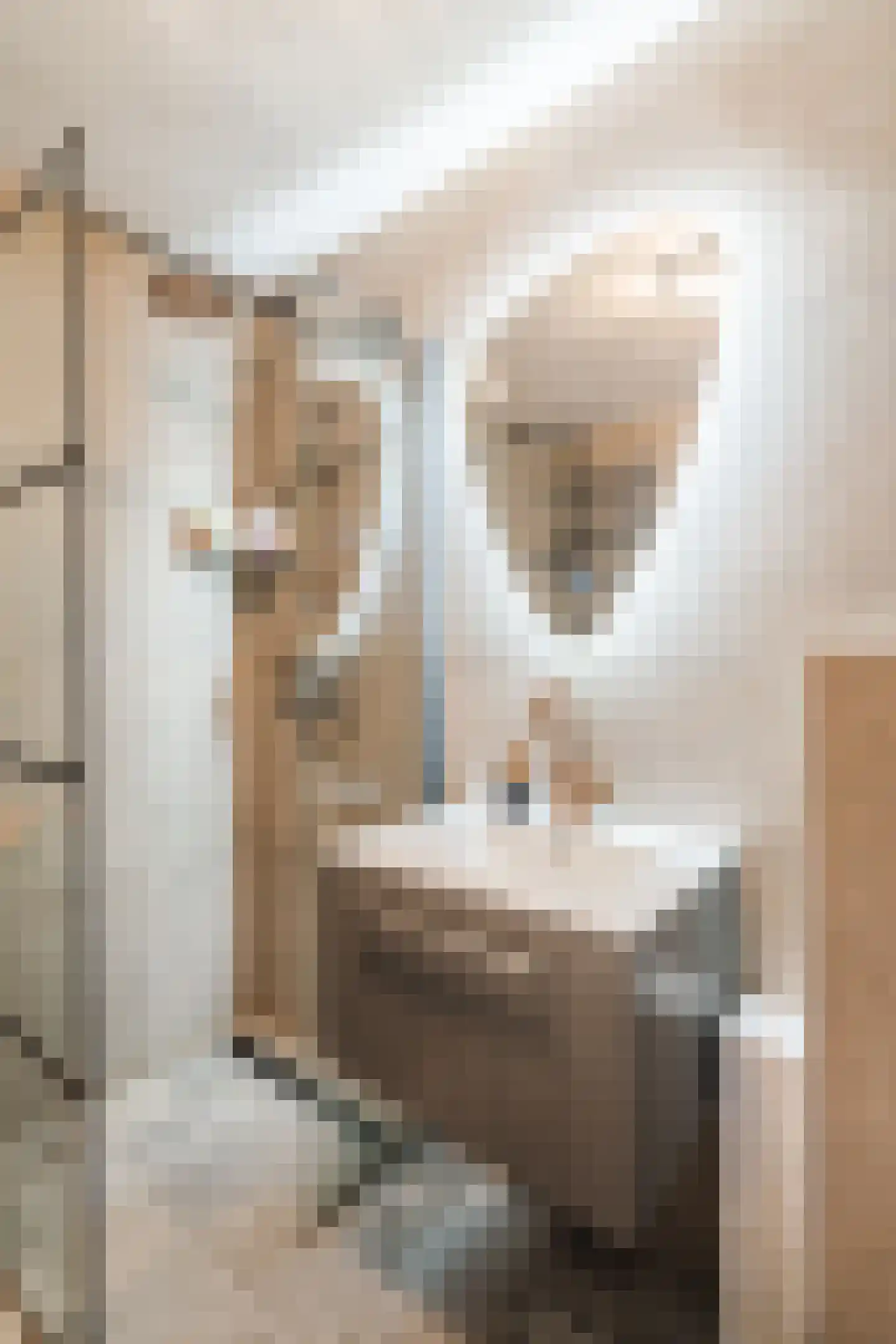 Dorpsstraat 44 Nieuwer Ter Aa thumbnail 22