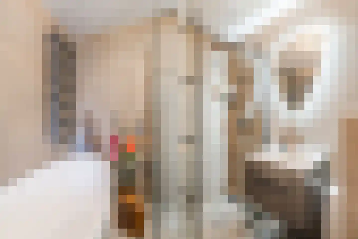 Dorpsstraat 44 Nieuwer Ter Aa thumbnail 23