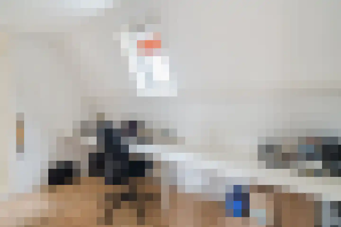 Dorpsstraat 44 Nieuwer Ter Aa thumbnail 27