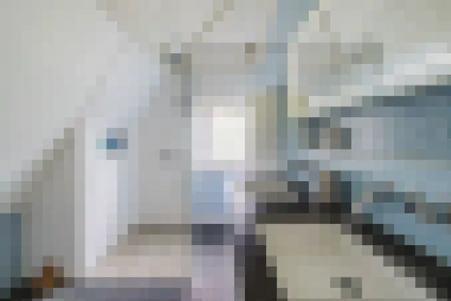 Dorpsstraat 44 Nieuwer Ter Aa thumbnail 28