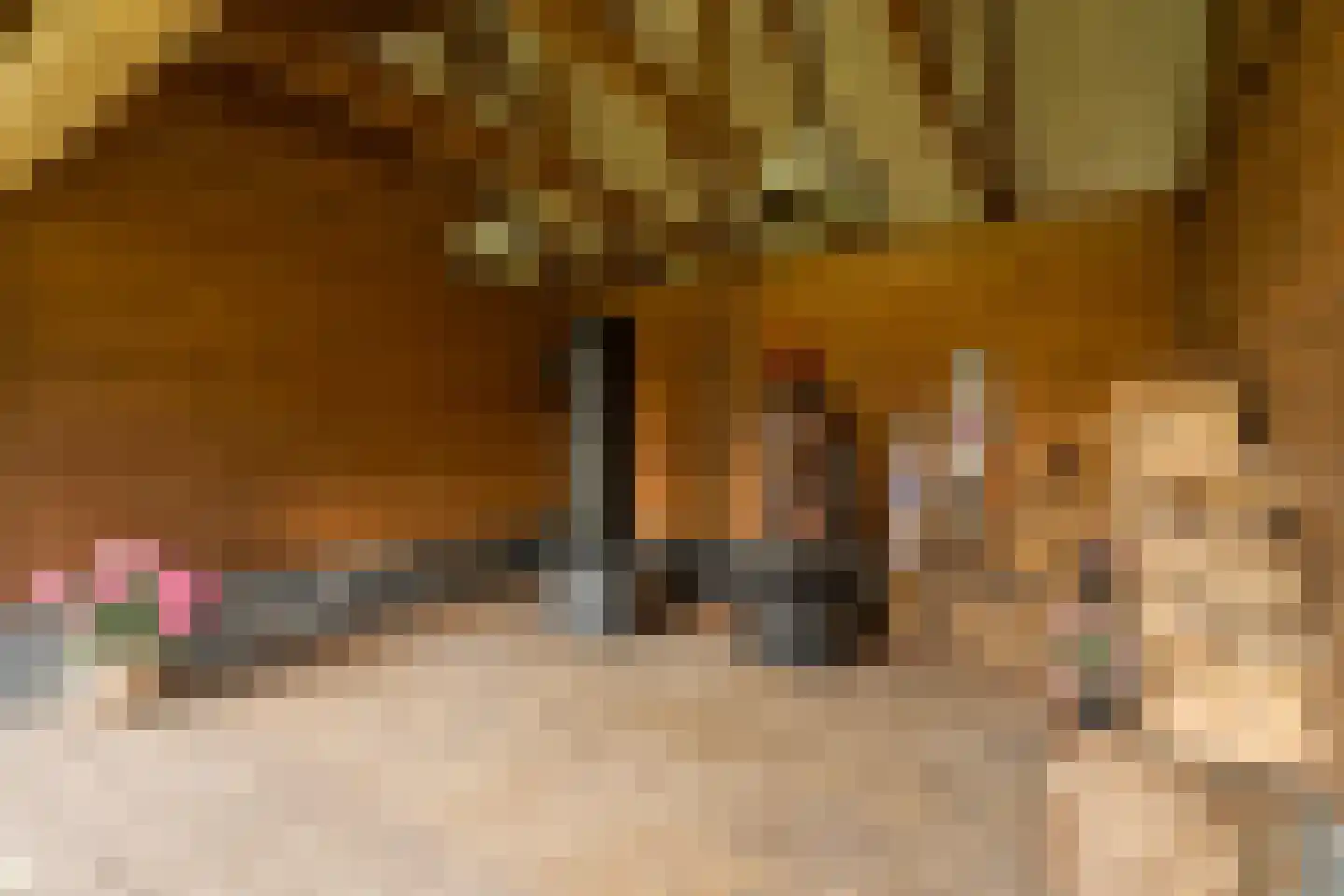 Dorpsstraat 44 Nieuwer Ter Aa thumbnail 39