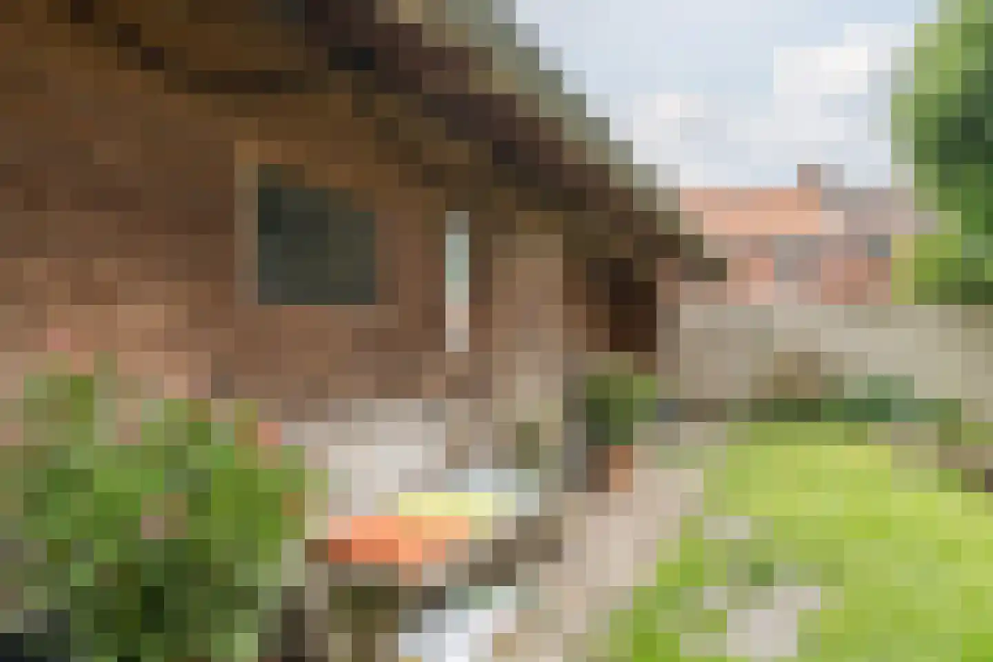 Dorpsstraat 44 Nieuwer Ter Aa thumbnail 42