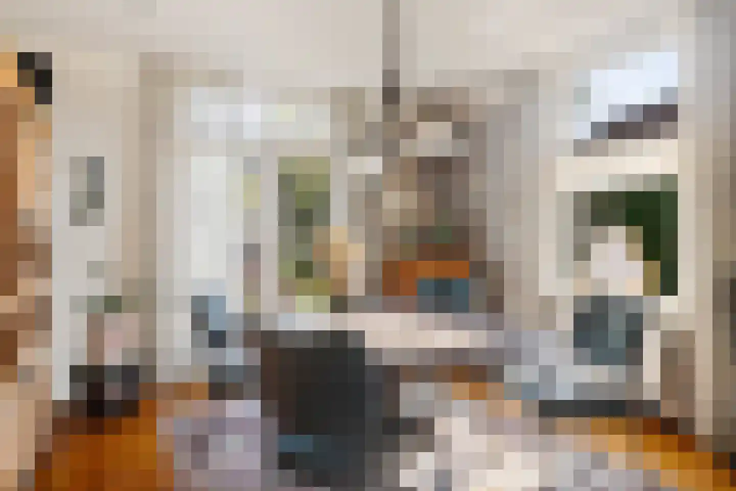 Dorpsstraat 449 Assendelft thumbnail 11