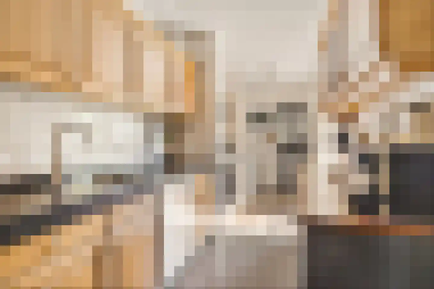 Dorpsstraat 449 Assendelft thumbnail 14
