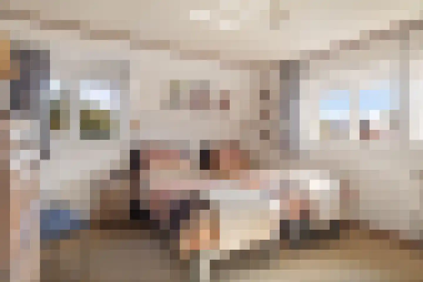 Dorpsstraat 449 Assendelft thumbnail 19