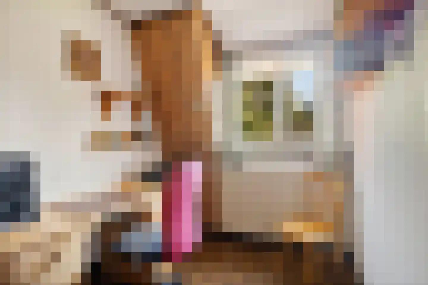 Dorpsstraat 449 Assendelft thumbnail 22
