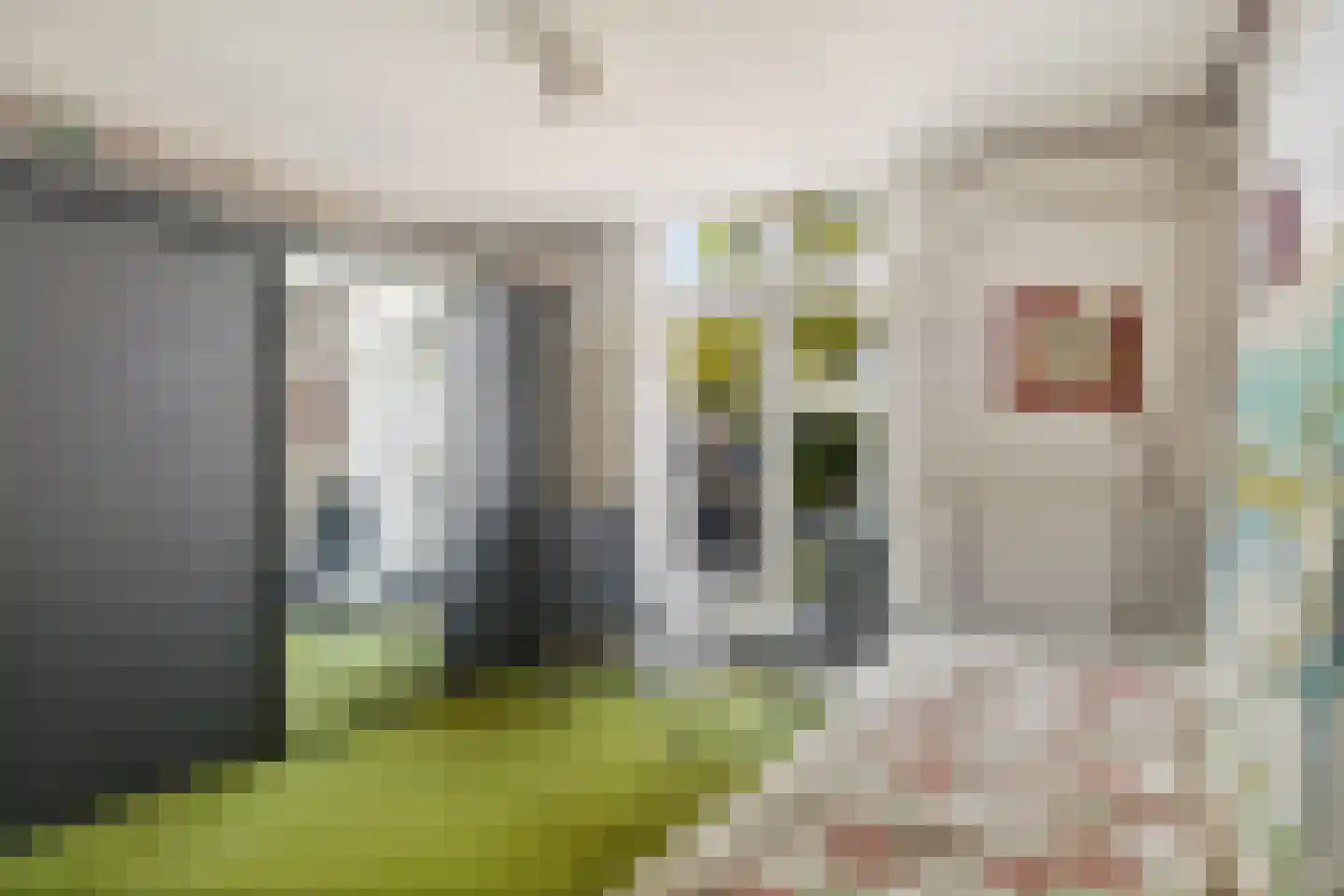 Dorpsstraat 449 Assendelft thumbnail 24
