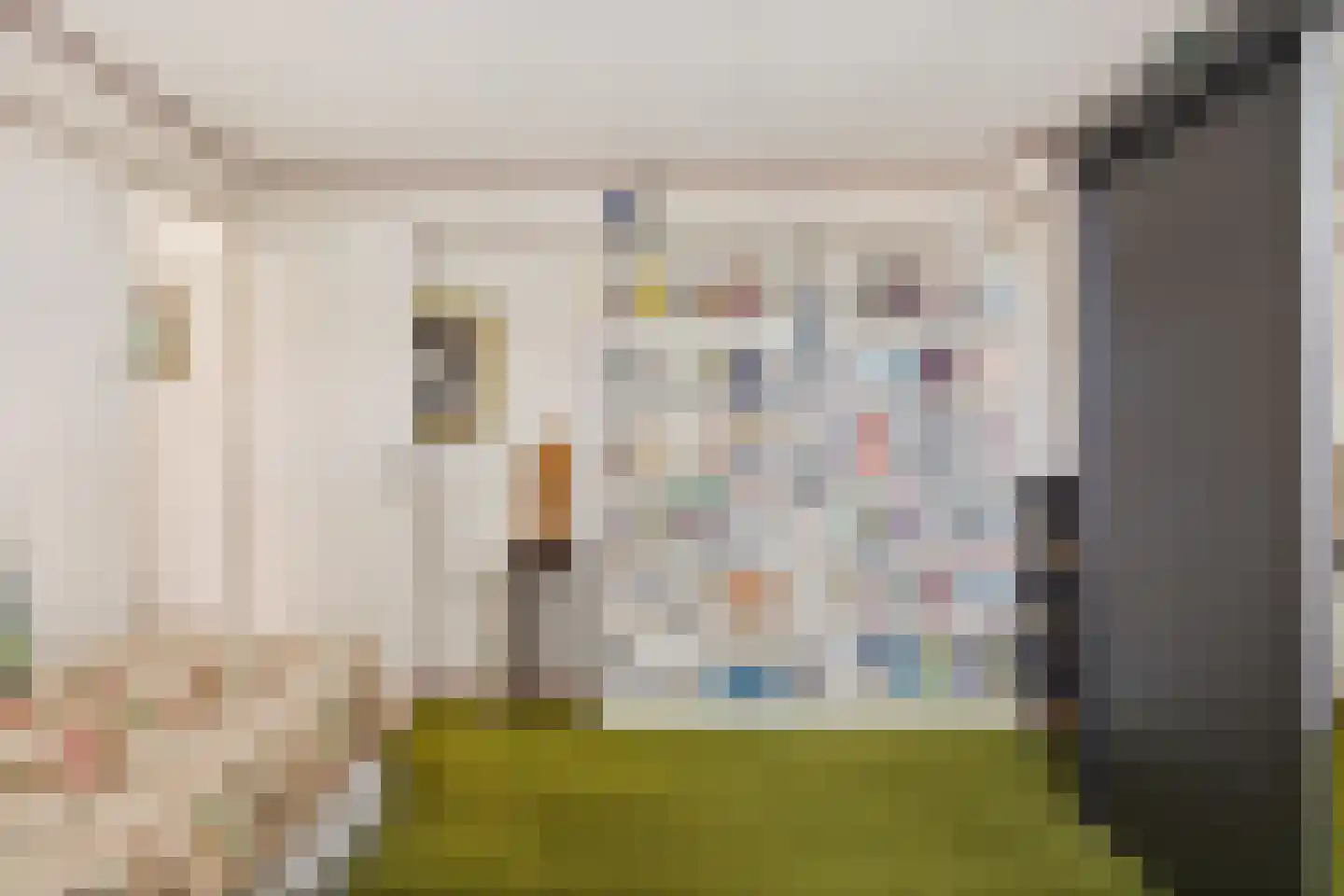Dorpsstraat 449 Assendelft thumbnail 25