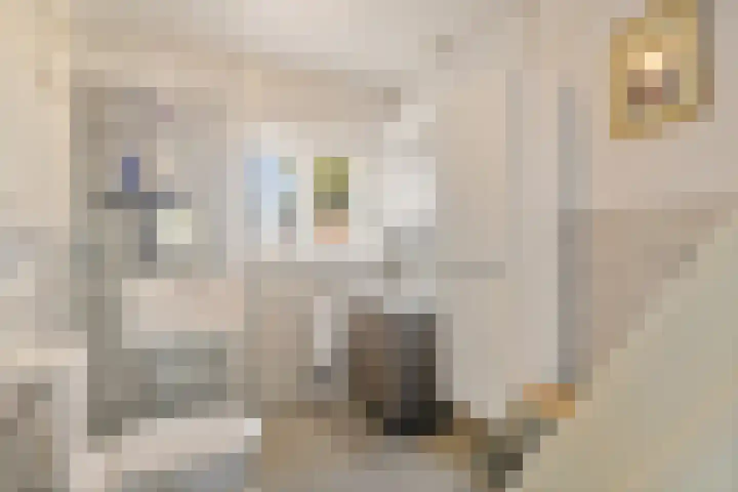 Dorpsstraat 449 Assendelft thumbnail 28