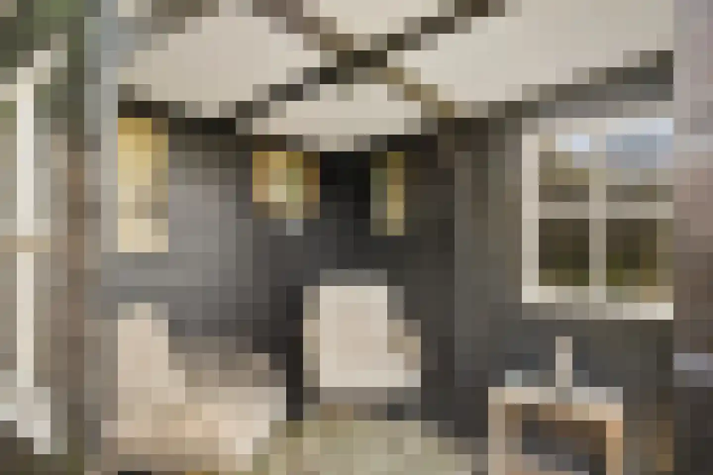 Dorpsstraat 449 Assendelft thumbnail 35