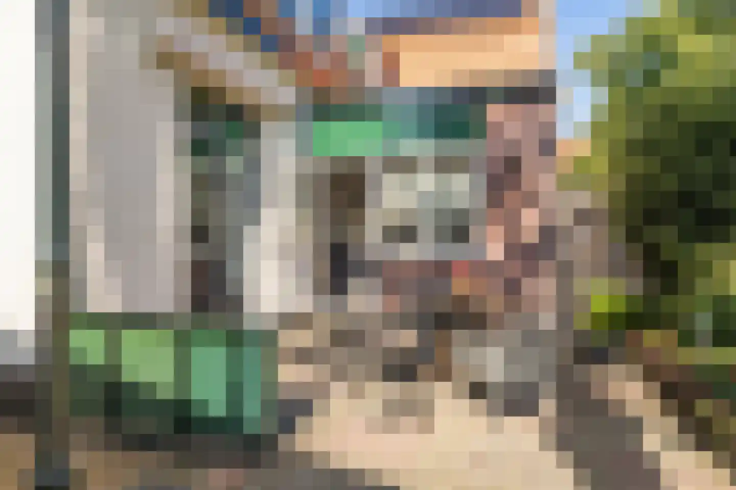 Dorpsstraat 449 Assendelft thumbnail 38