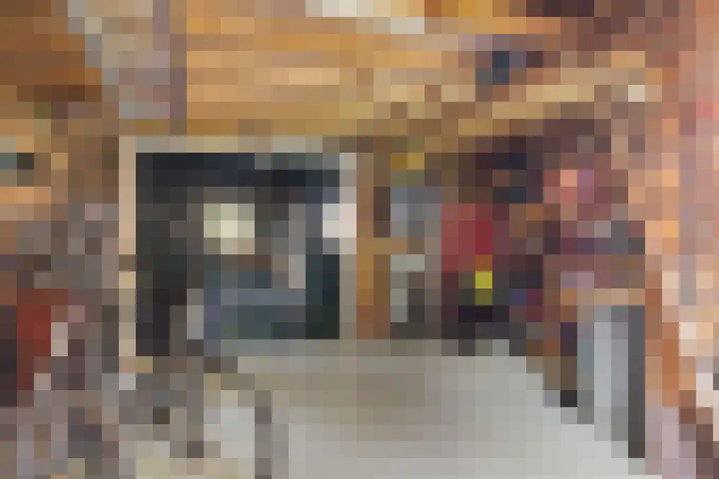 Dorpsstraat 449 Assendelft thumbnail 40