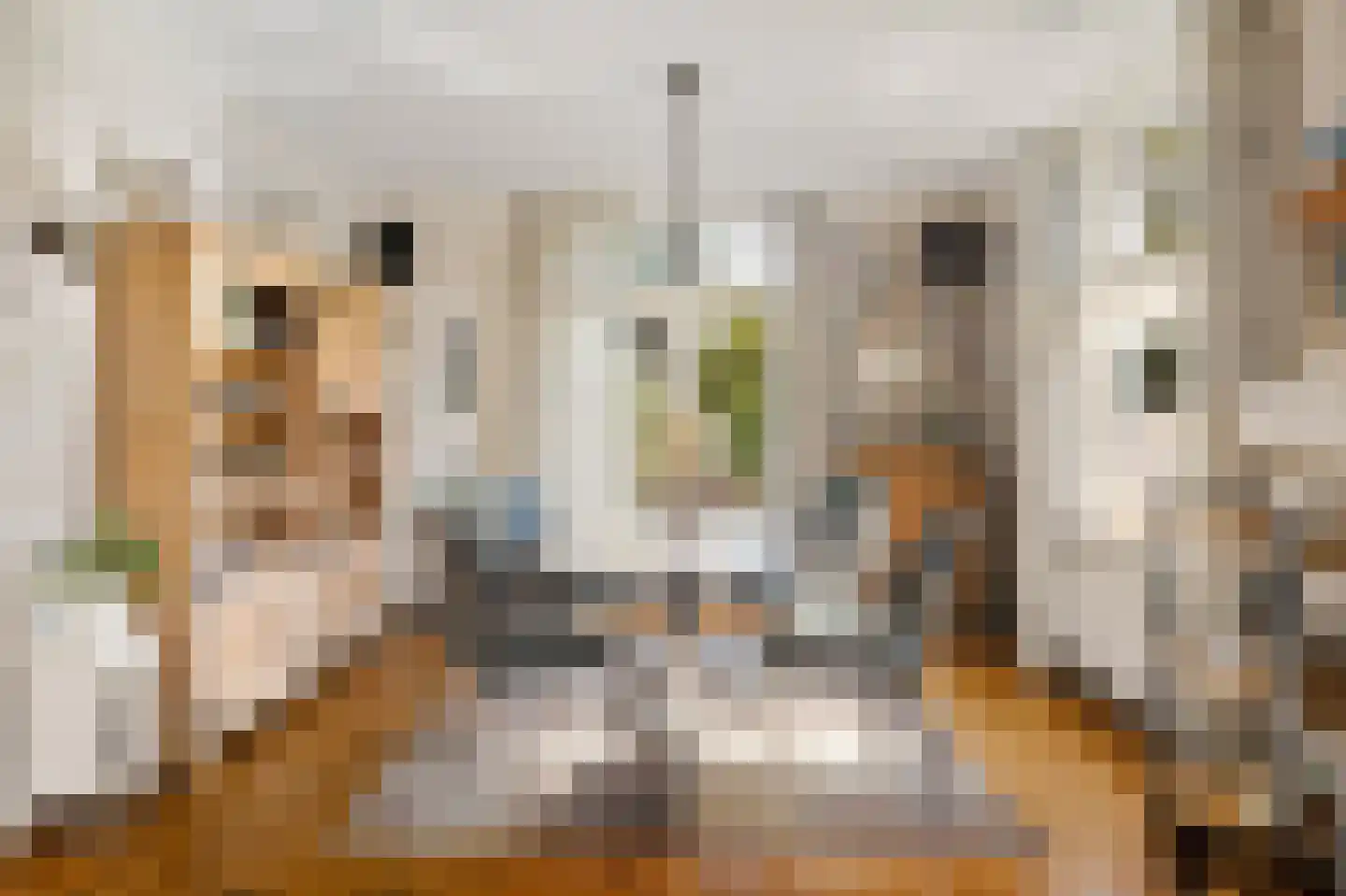 Dorpsstraat 449 Assendelft thumbnail 8