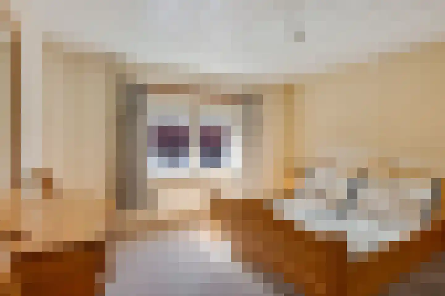 Dorpsstraat 45 Afferden L thumbnail 18