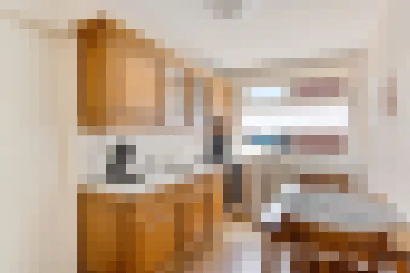 Dorpsstraat 45 Afferden L thumbnail 4