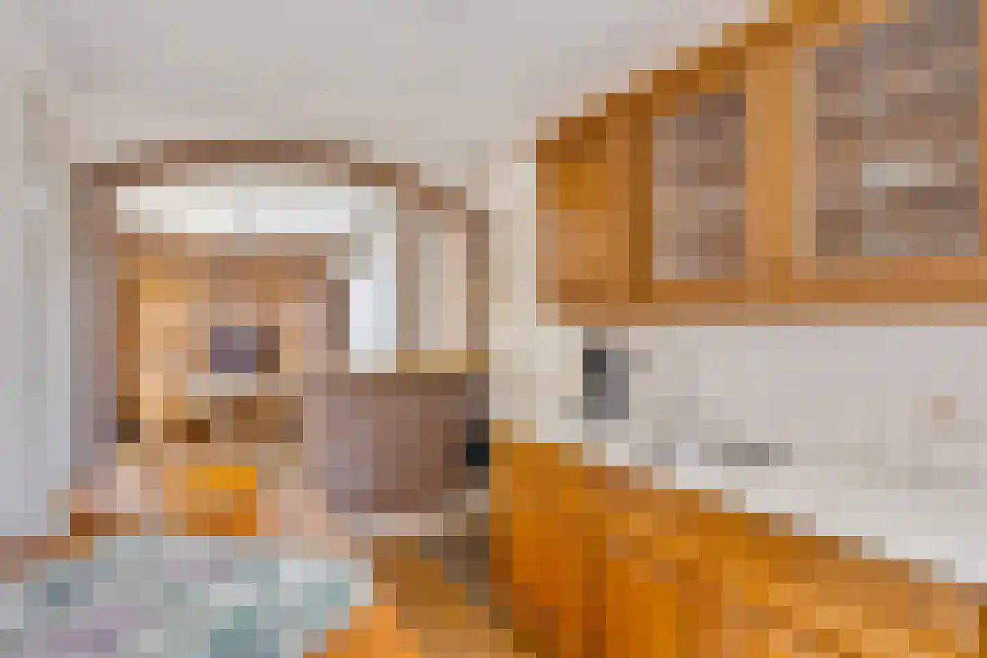 Dorpsstraat 45 Afferden L thumbnail 5