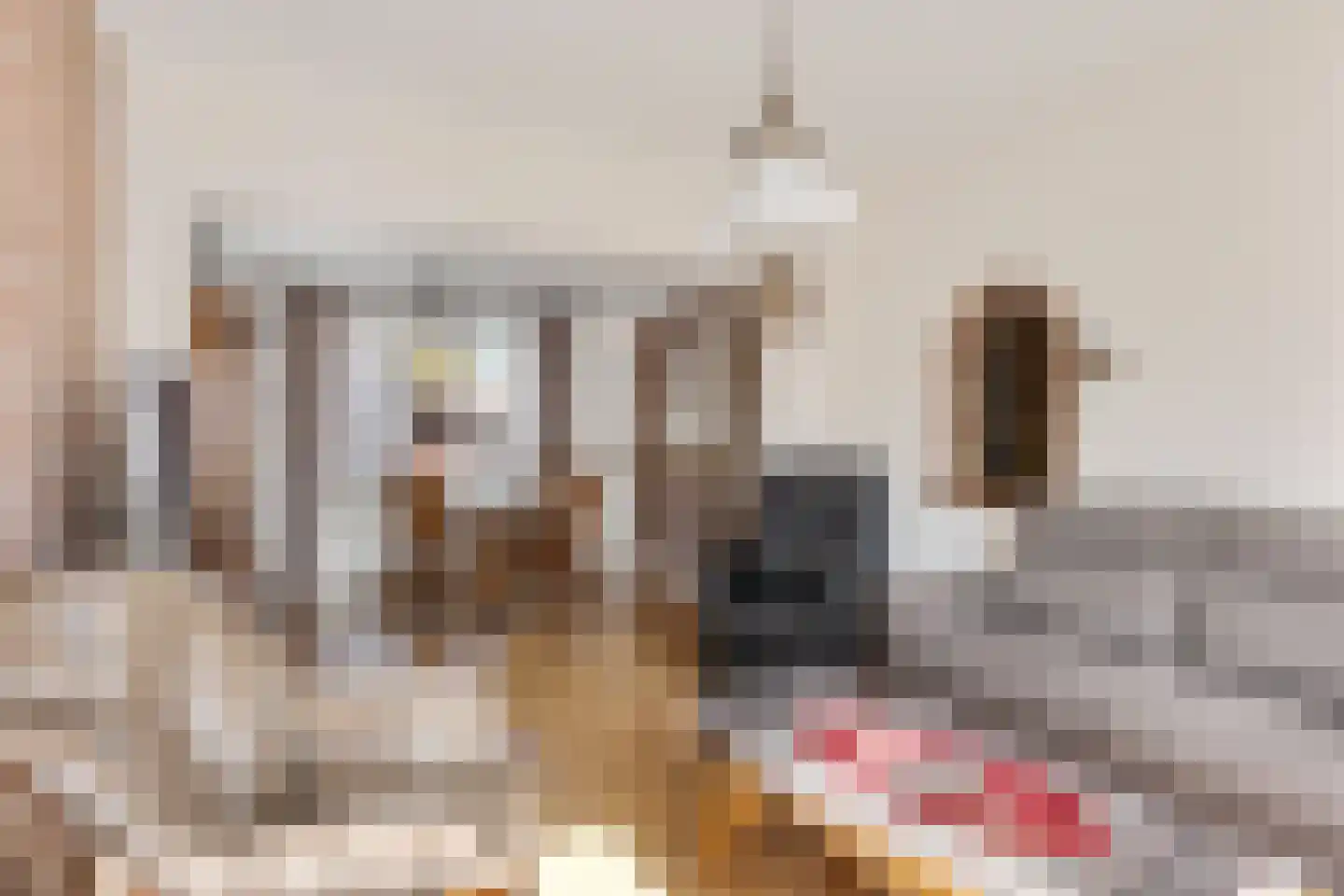 Dorpsstraat 45 Afferden L thumbnail 8