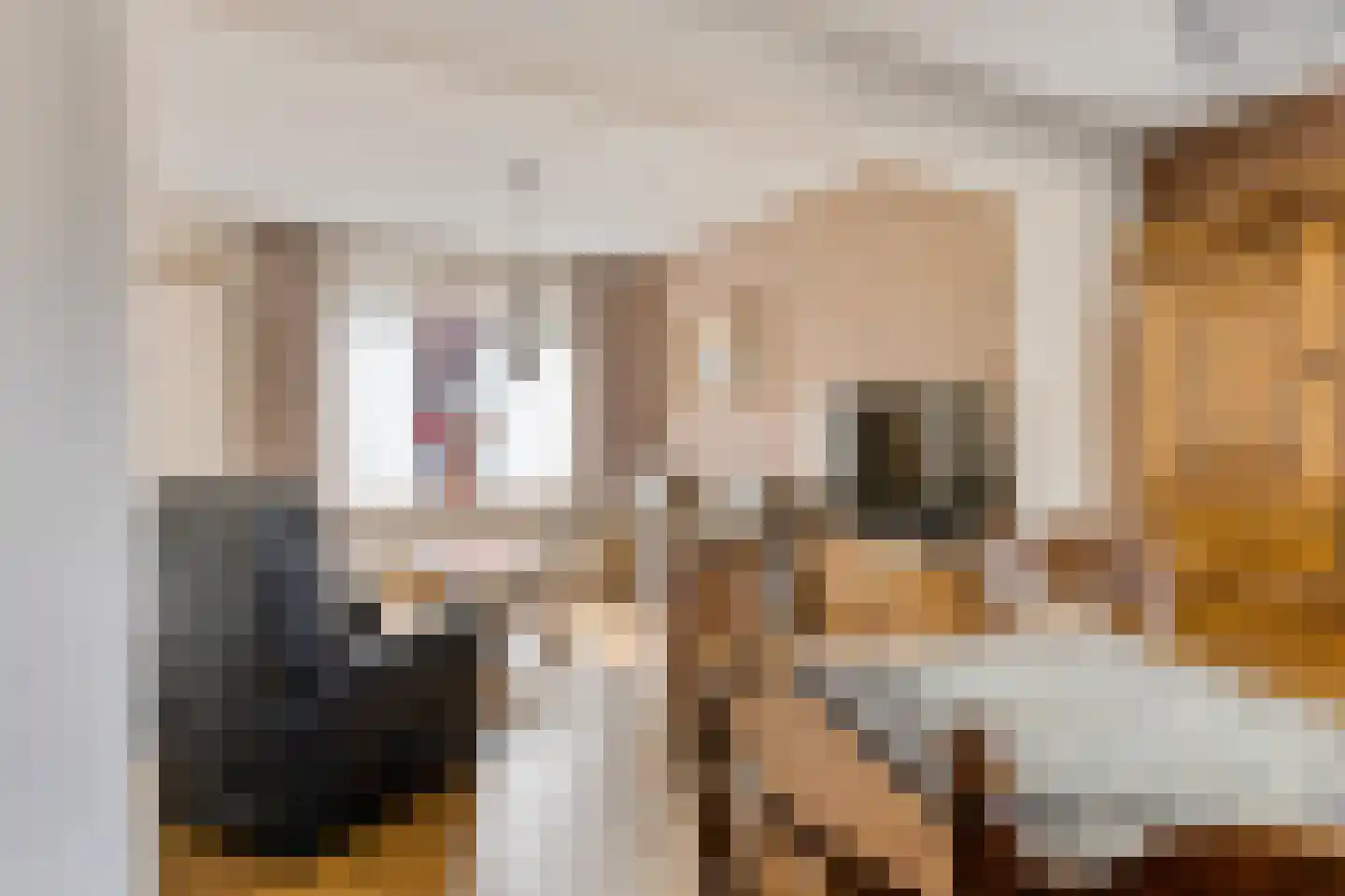 Dorpsstraat 45 Afferden L thumbnail 9