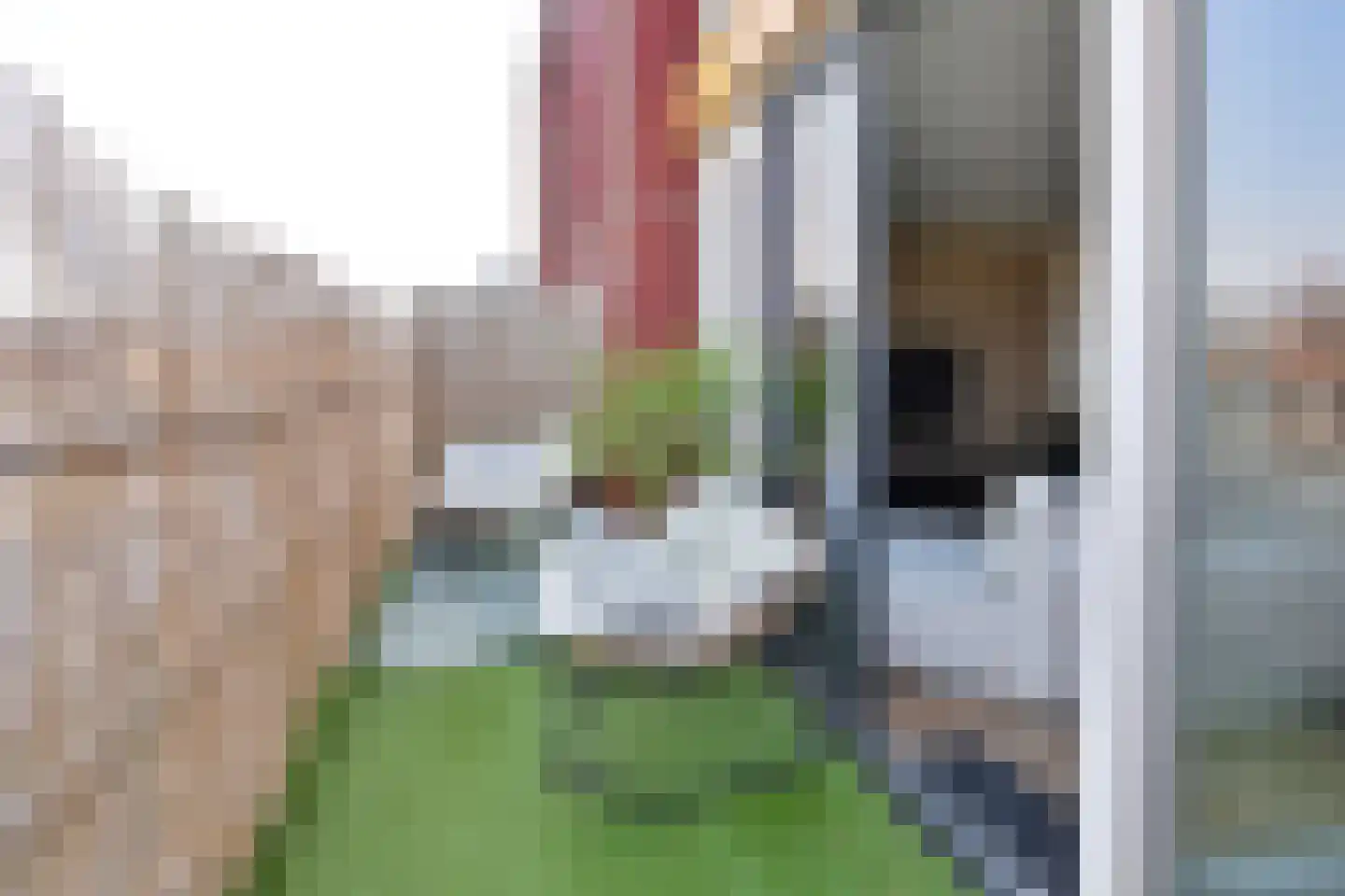 Dorpsstraat 45 b Woudenberg thumbnail 4