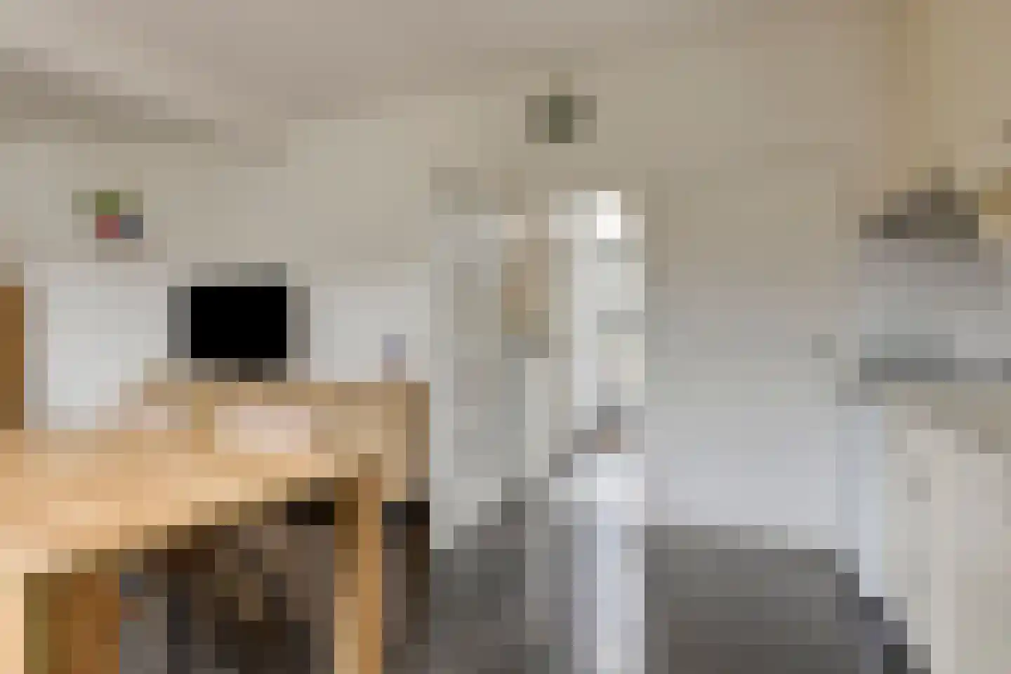 Dorpsstraat 45 Gapinge thumbnail 10