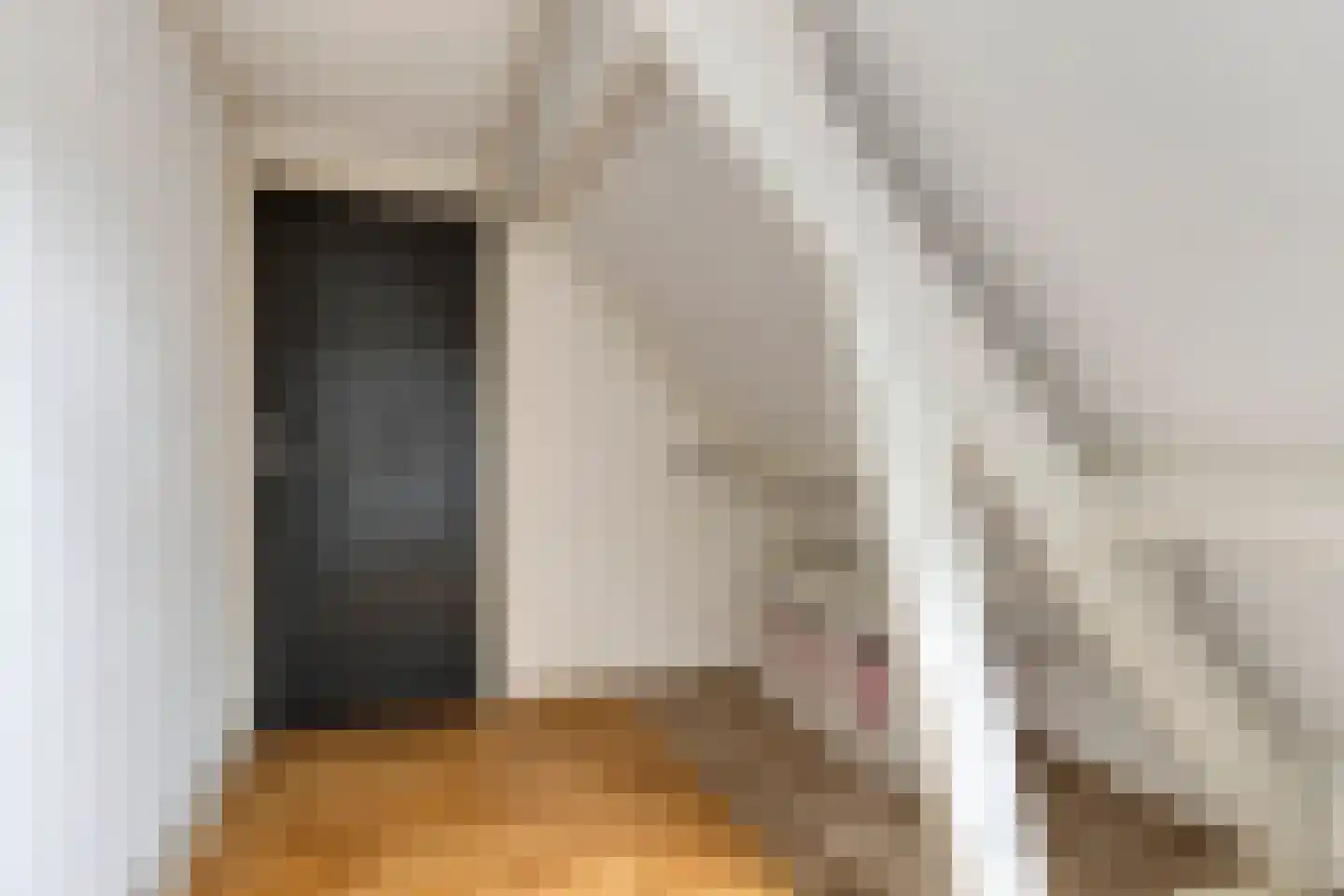 Dorpsstraat 45 Gapinge thumbnail 14