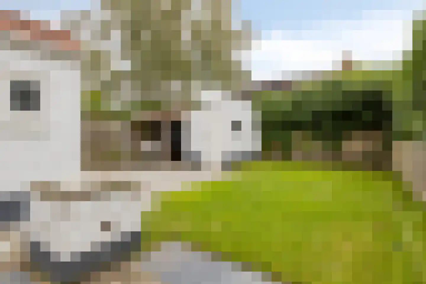 Dorpsstraat 45 Gapinge thumbnail 23