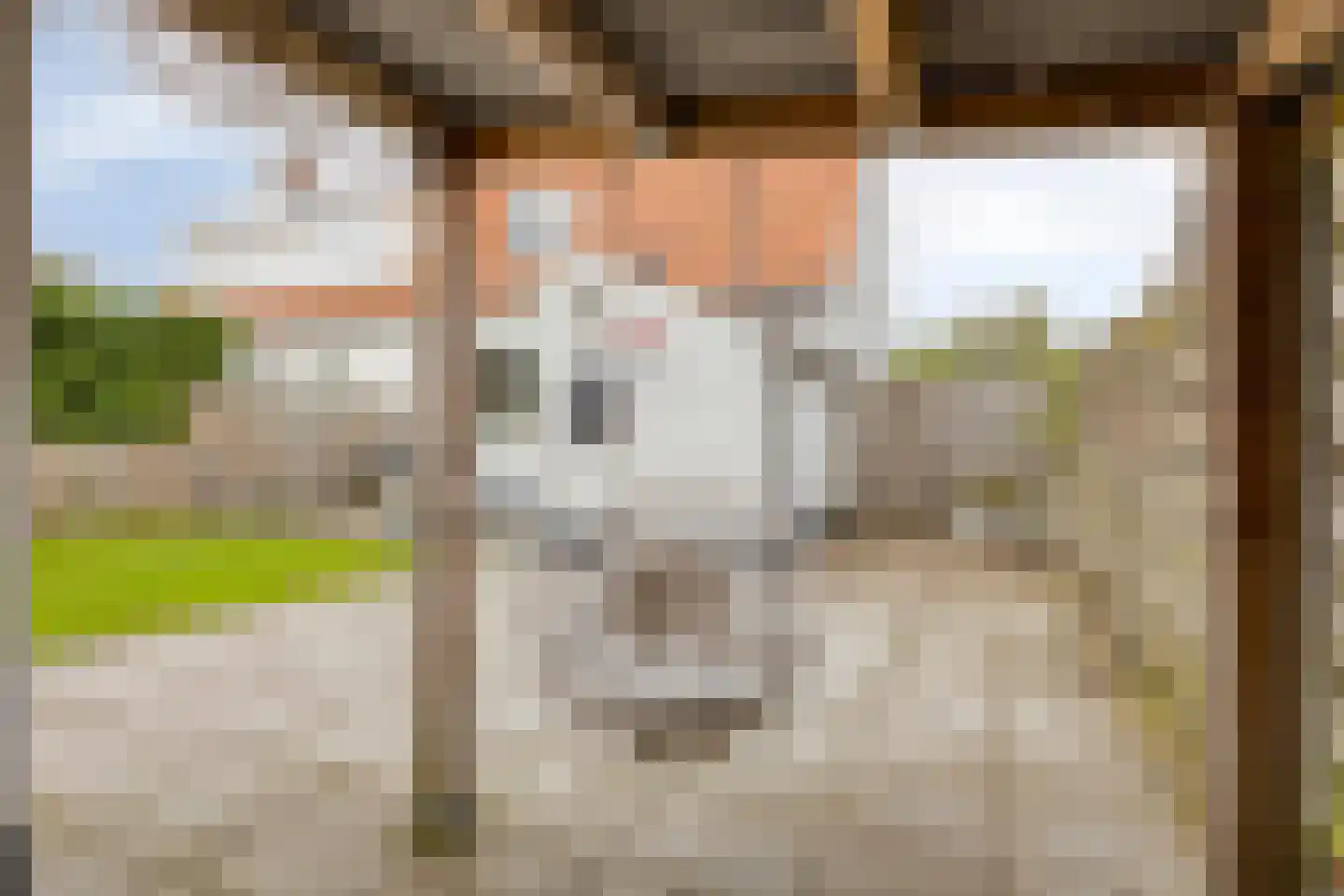 Dorpsstraat 45 Gapinge thumbnail 27