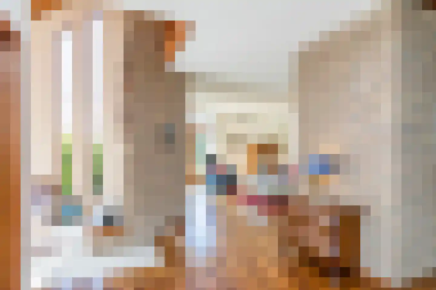 Dorpsstraat 45 Mheer thumbnail 14