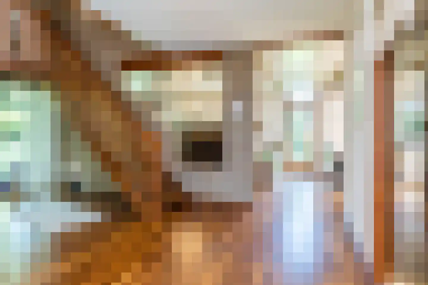 Dorpsstraat 45 Mheer thumbnail 21