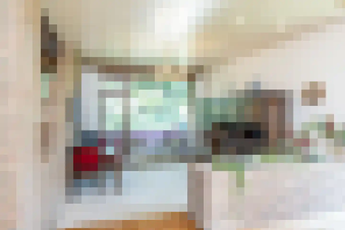 Dorpsstraat 45 Mheer thumbnail 24