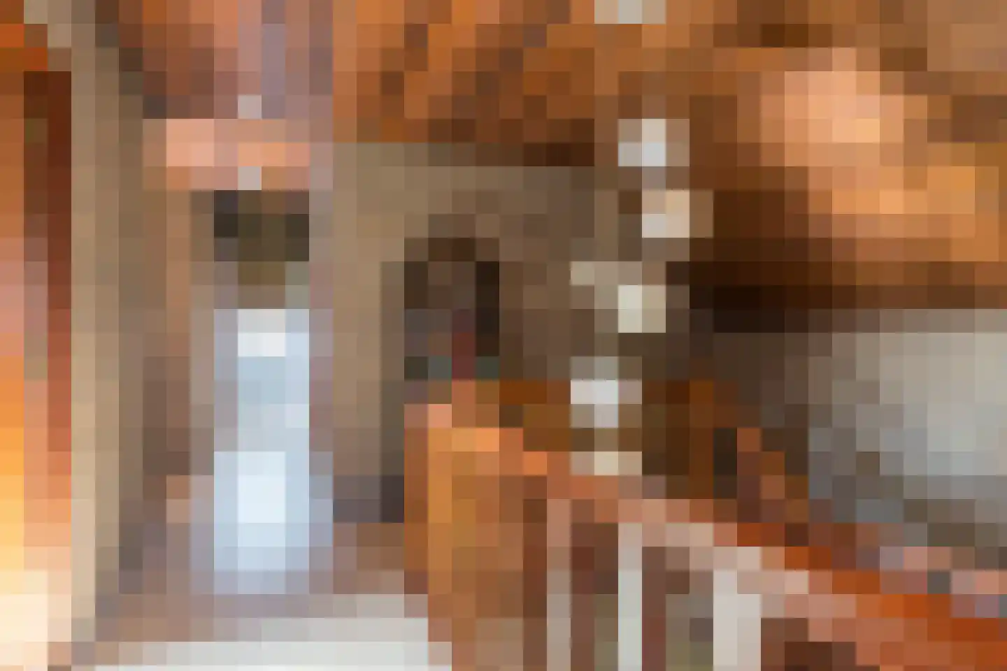 Dorpsstraat 45 Mheer thumbnail 28