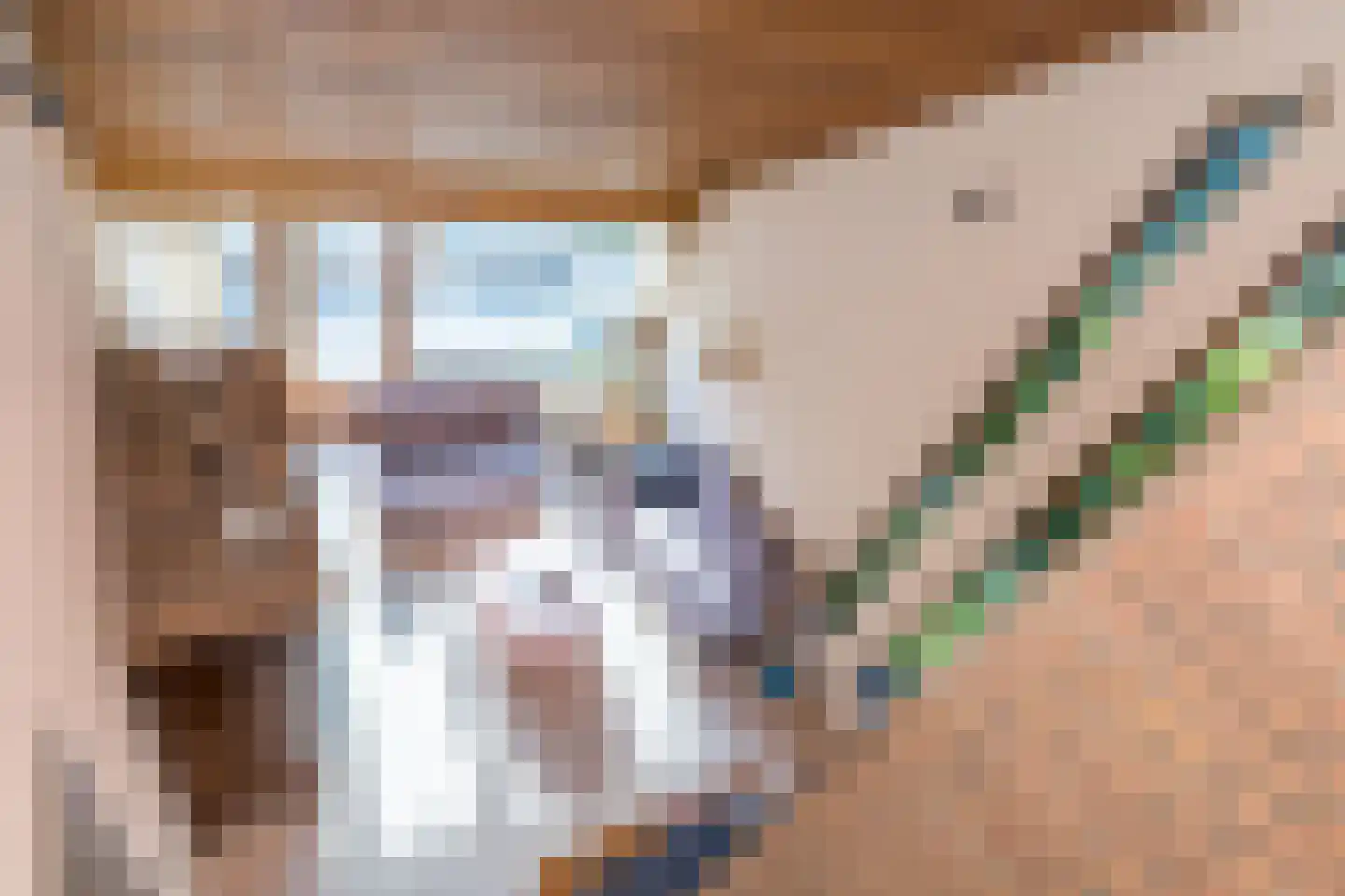 Dorpsstraat 45 Mheer thumbnail 29