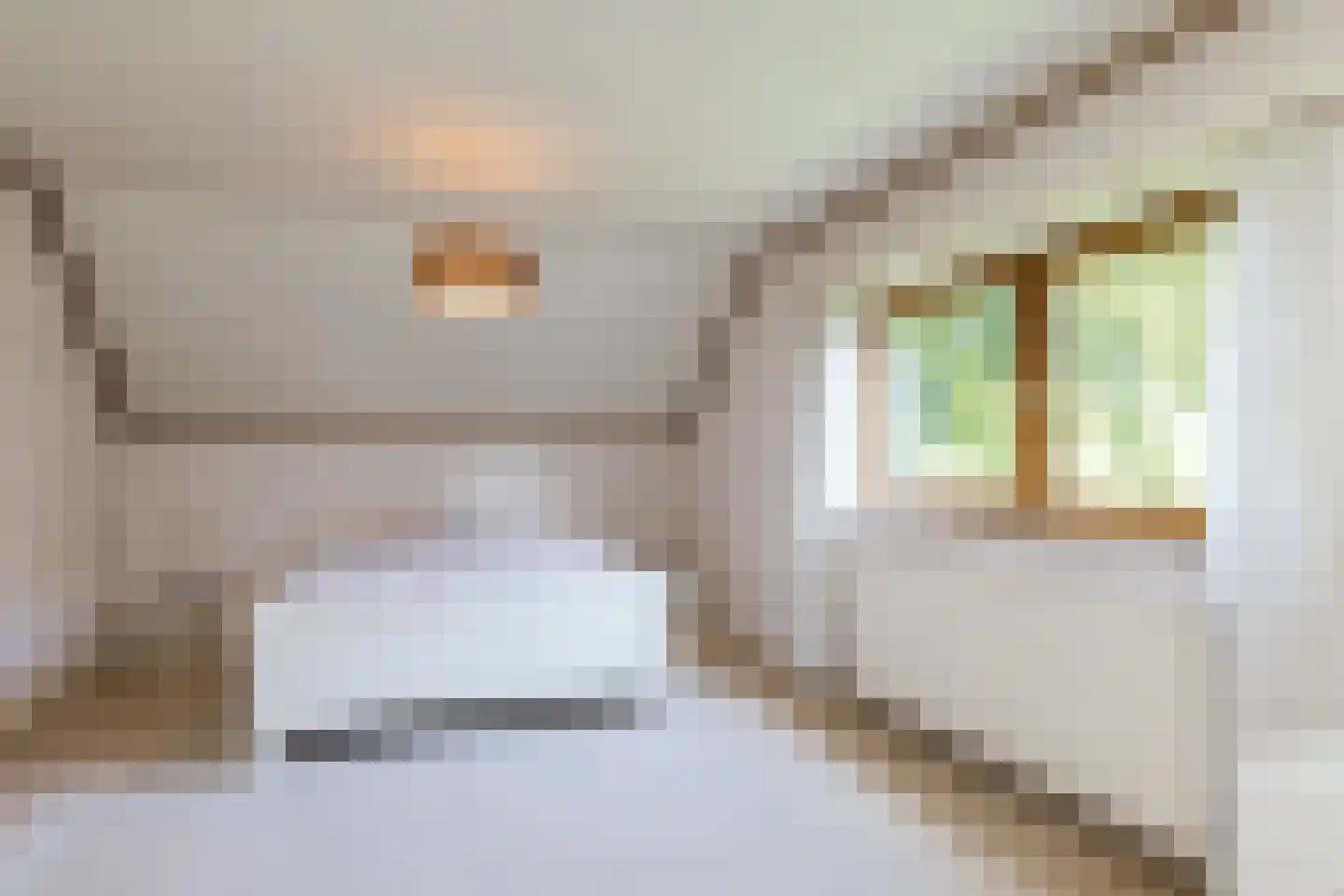Dorpsstraat 45 Mheer thumbnail 31