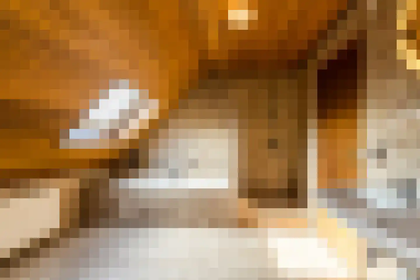 Dorpsstraat 45 Mheer thumbnail 34