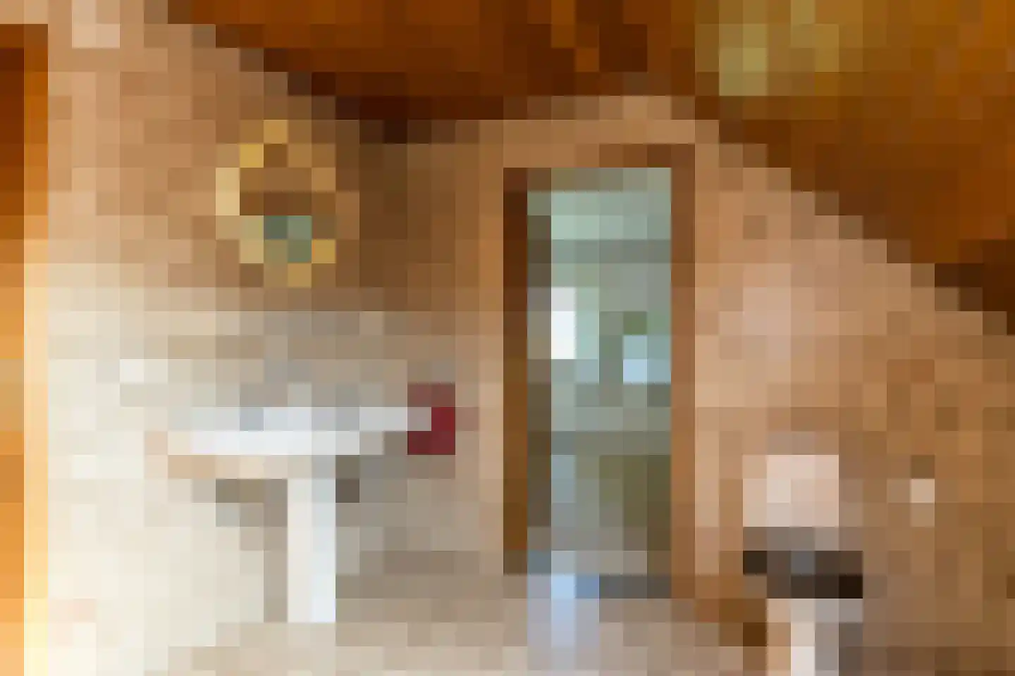 Dorpsstraat 45 Mheer thumbnail 35