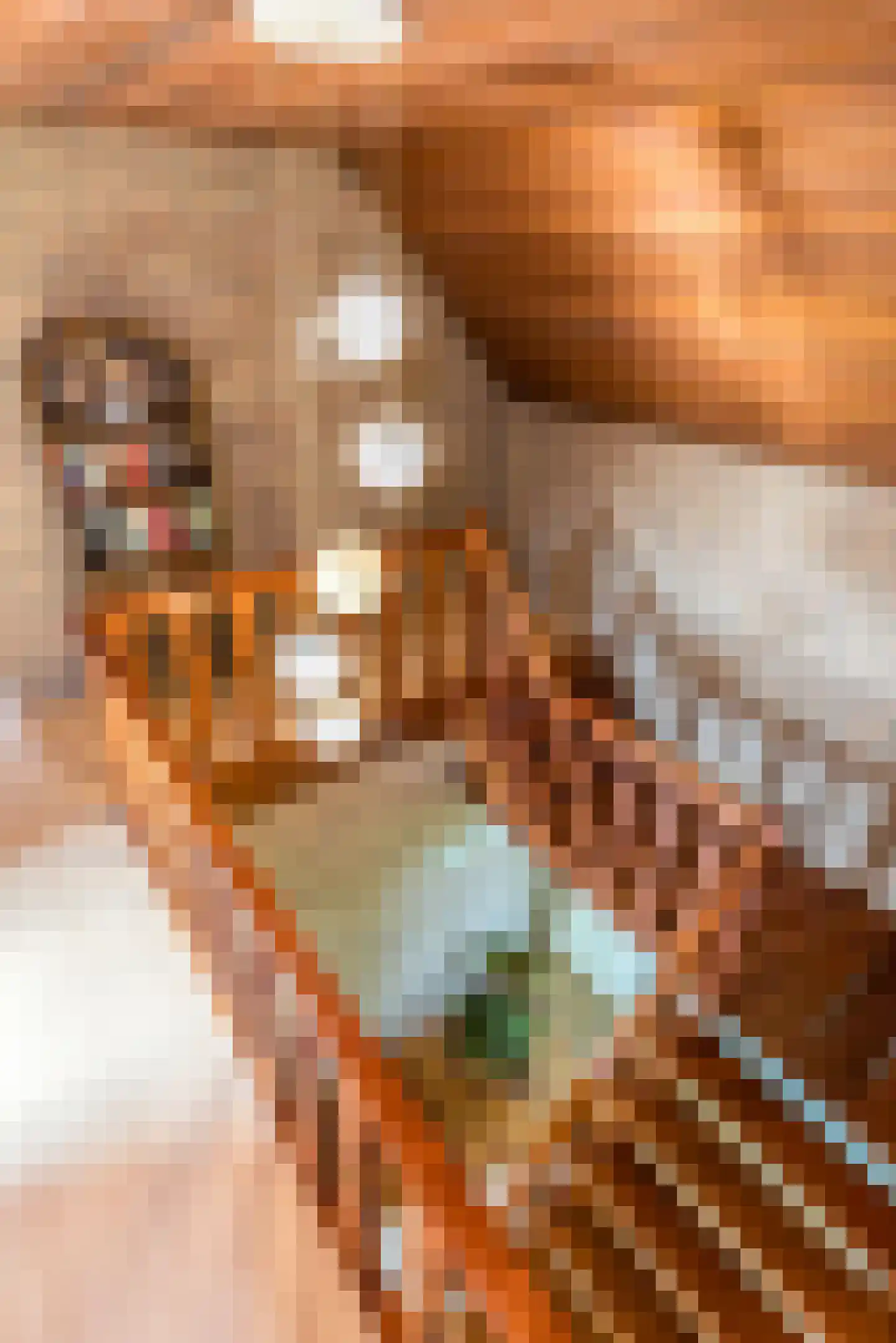 Dorpsstraat 45 Mheer thumbnail 36