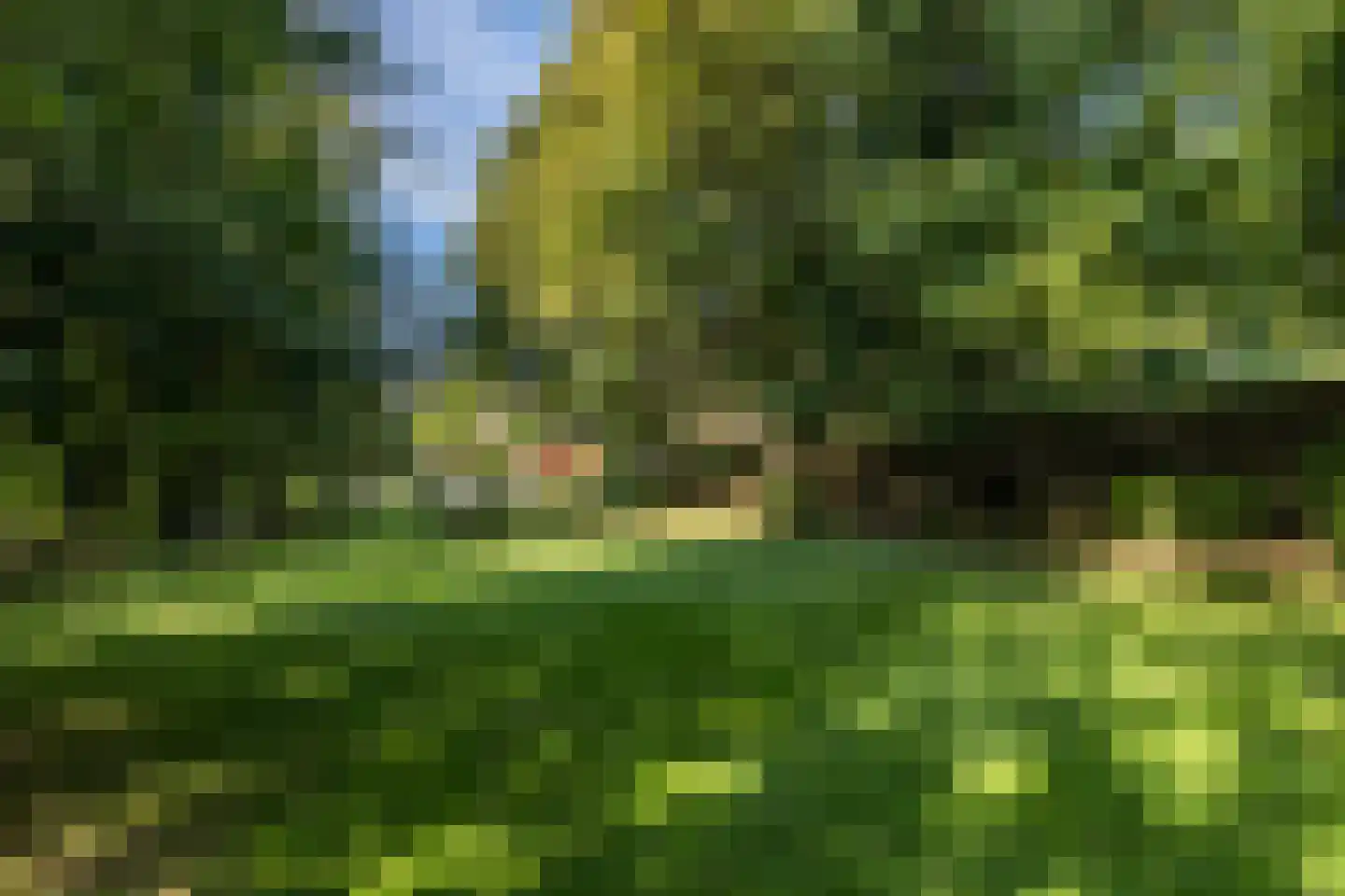 Dorpsstraat 45 Mheer thumbnail 44