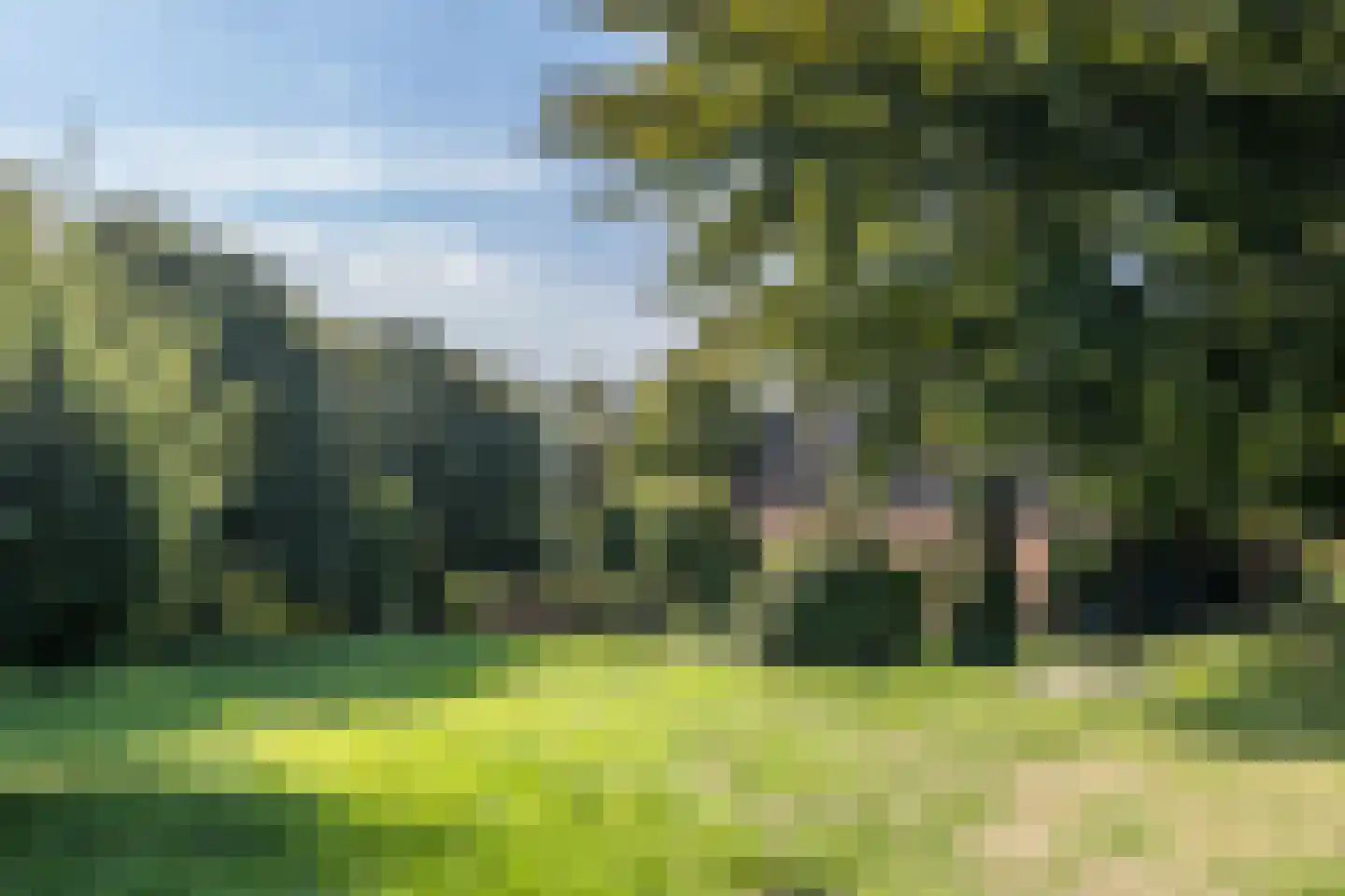 Dorpsstraat 45 Mheer thumbnail 45