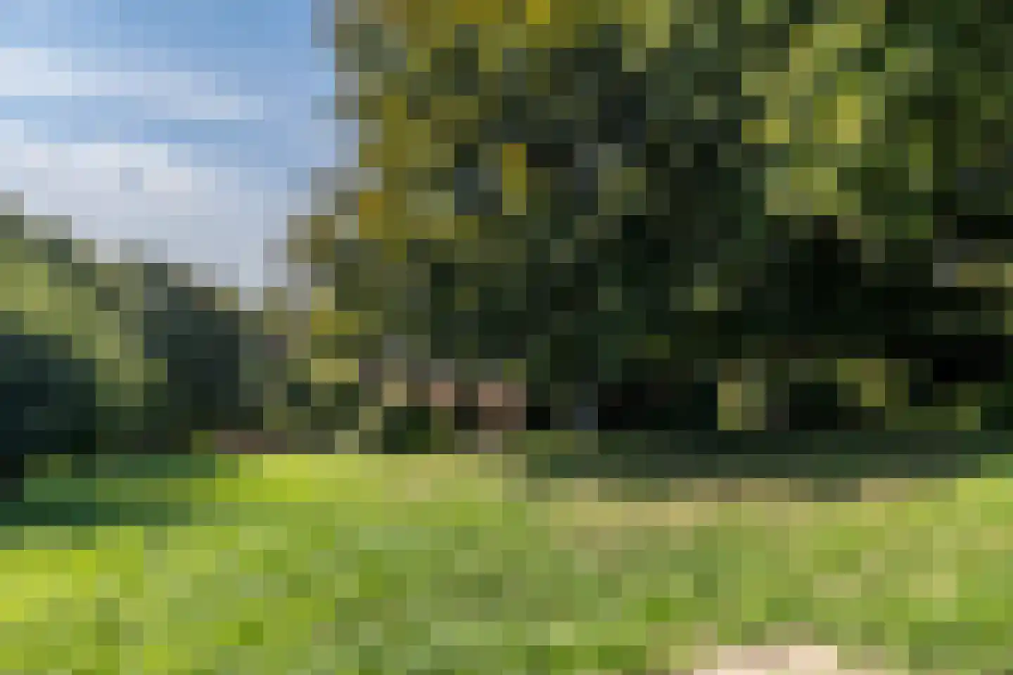 Dorpsstraat 45 Mheer thumbnail 46