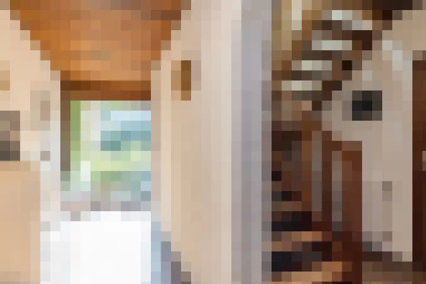 Dorpsstraat 45 Mheer thumbnail 5