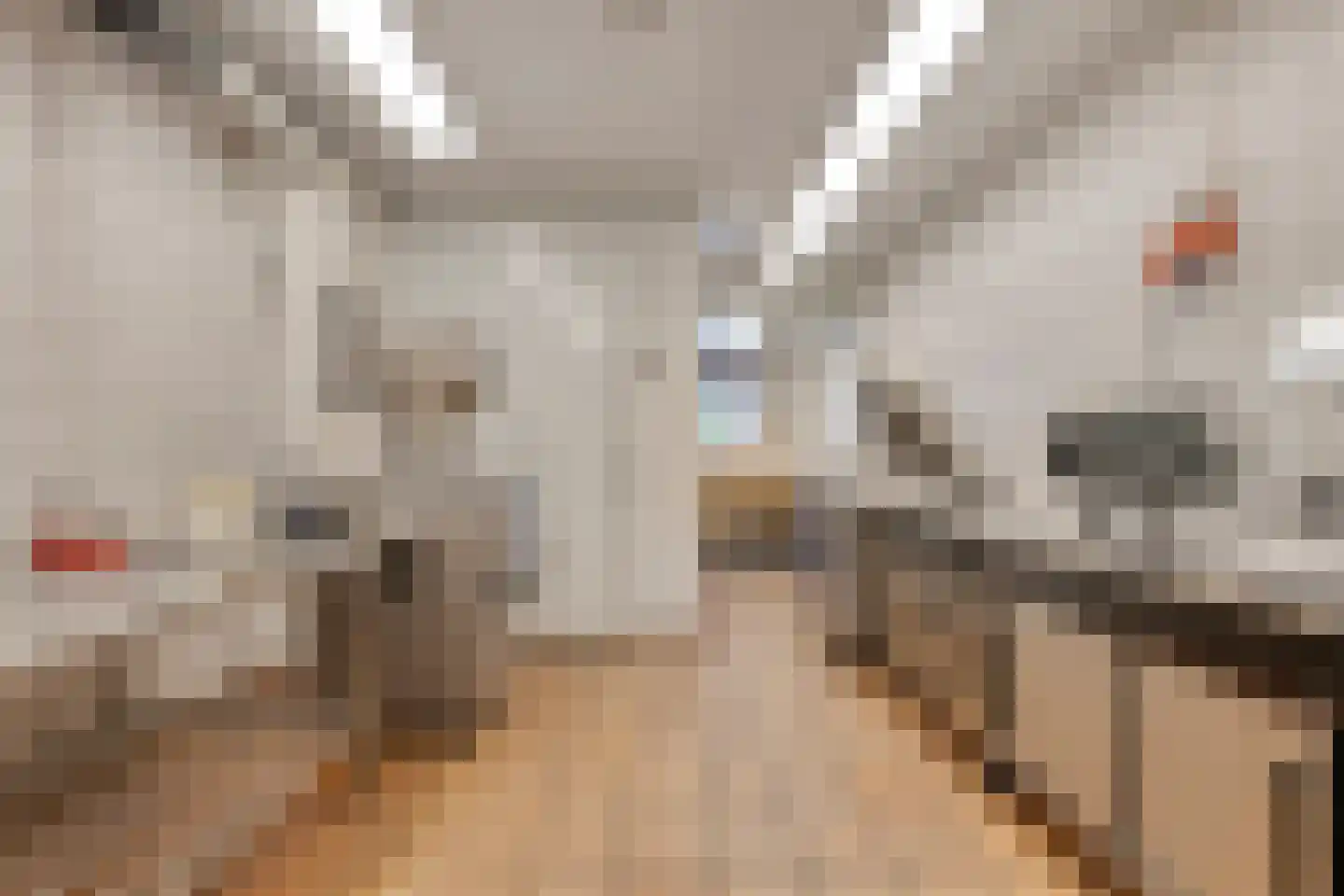 Dorpsstraat 45 Nispen thumbnail 12