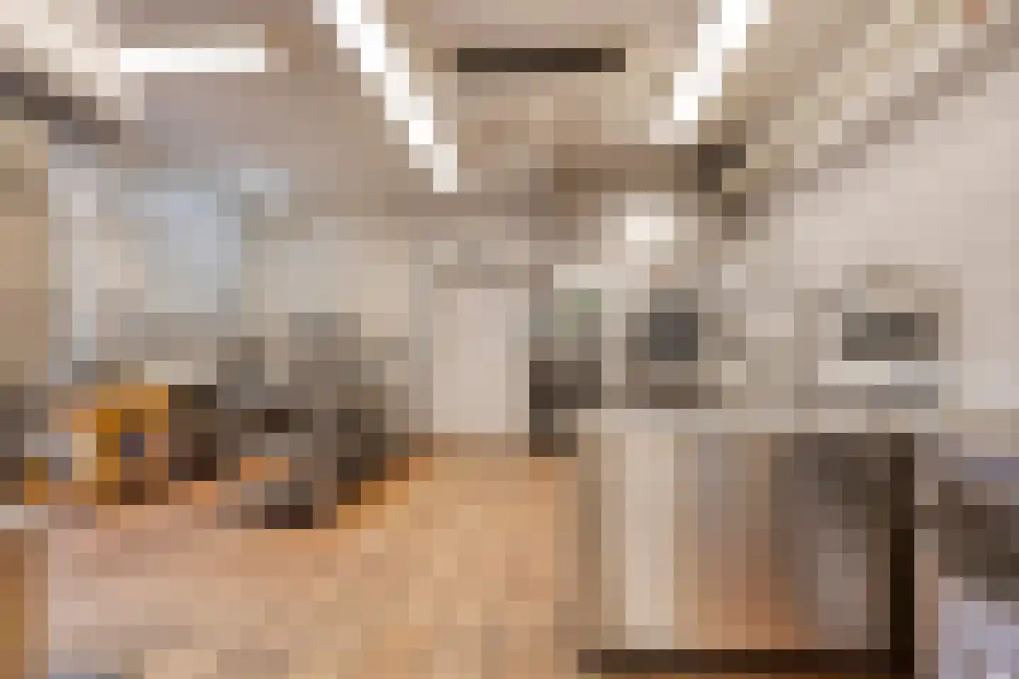 Dorpsstraat 45 Nispen thumbnail 16