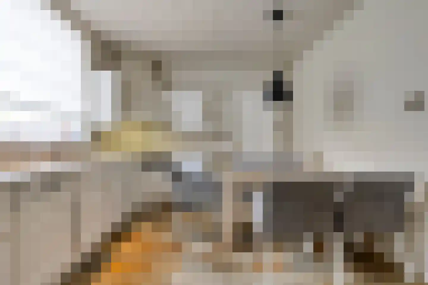 Dorpsstraat 45 Nispen thumbnail 19